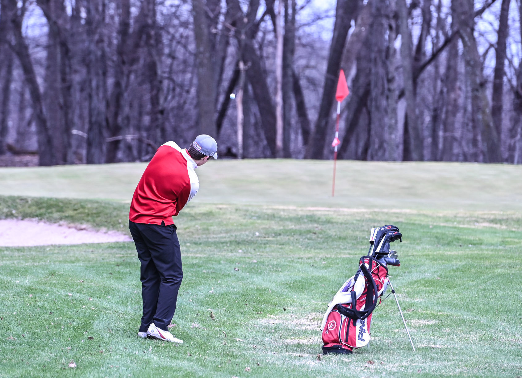 FC Golf 11
